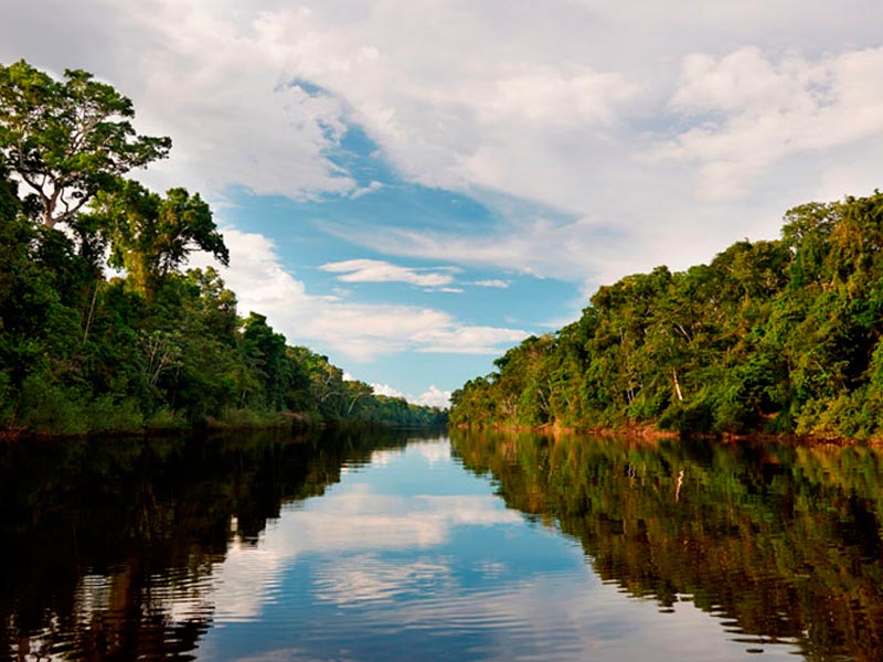 Paquete Turístico a Iquitos Peru - Reserva Nacional Pacaya Samiria